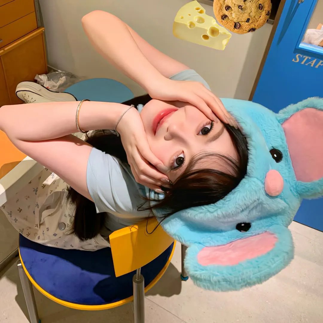 姐妹情仇